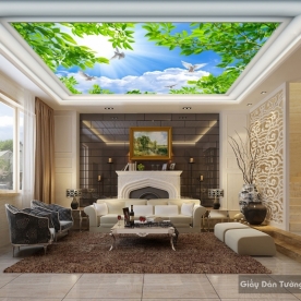 Wall paintings for ceilings C030