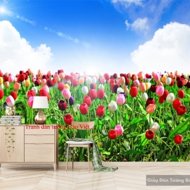 Beautiful wall paintings H119