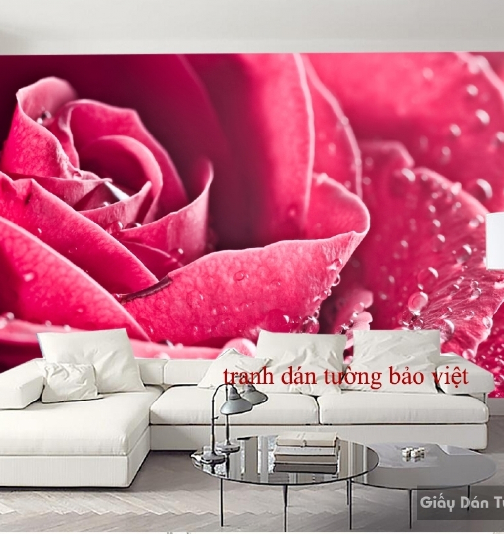 Wall paintings of roses H096