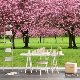 Pink wall paintings v143