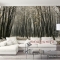 Landscape wall paintings Tr119