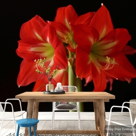 Wallpaper 3D flower H003