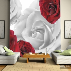 3D floral wallpaper paintings H024