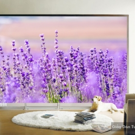 3D floral wallpaper paintings H030