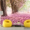 3D floral wallpaper paintings H040