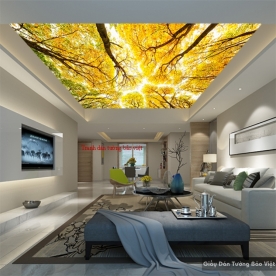 Ceiling paintings C083