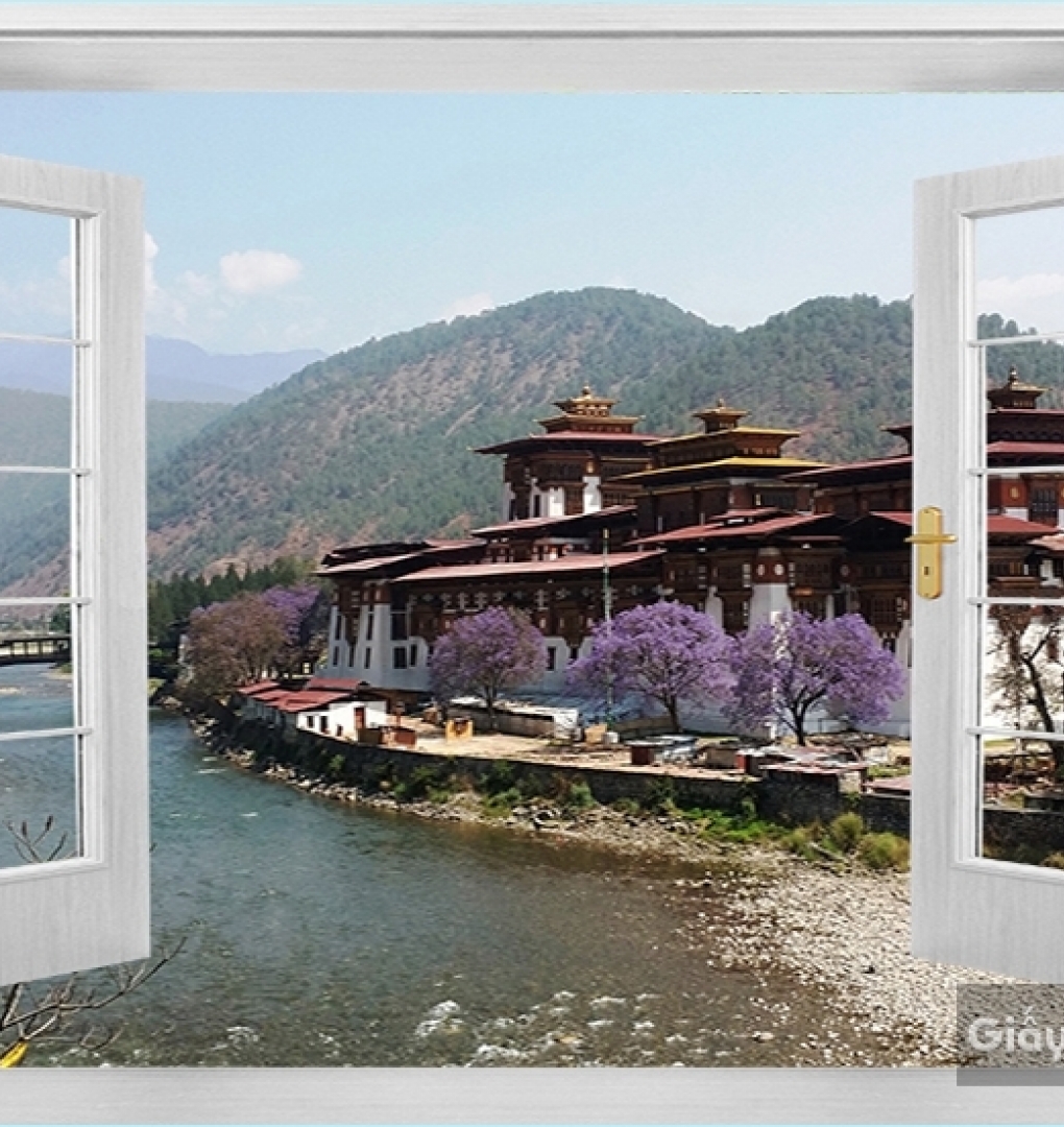 Window Wall Paintings DC26