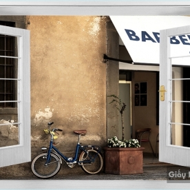 Window Wall Paintings DC38