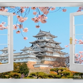 Window Wall Paintings DC47