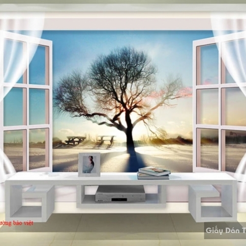 3D wall paintings of windows D067