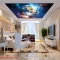 Wall paintings of ceiling galaxy c190