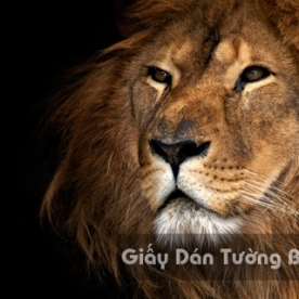 3D Wallpaper Paintings AN AN 1501-2