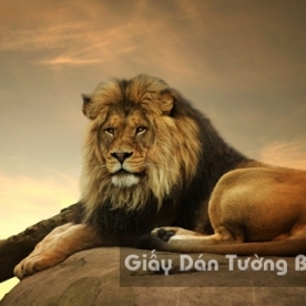 Wallpaper 3D Animal AN 1501-4