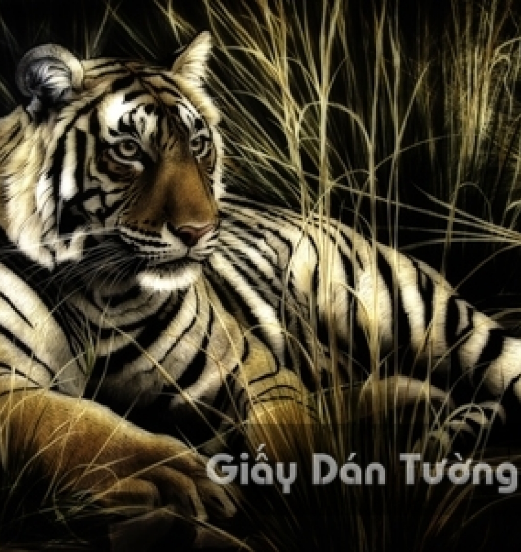 AN 3D Wallpaper Animal AN 1501-6