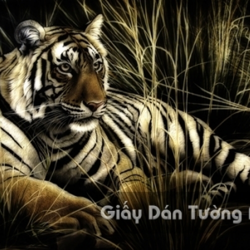 AN 3D Wallpaper Animal AN 1501-6