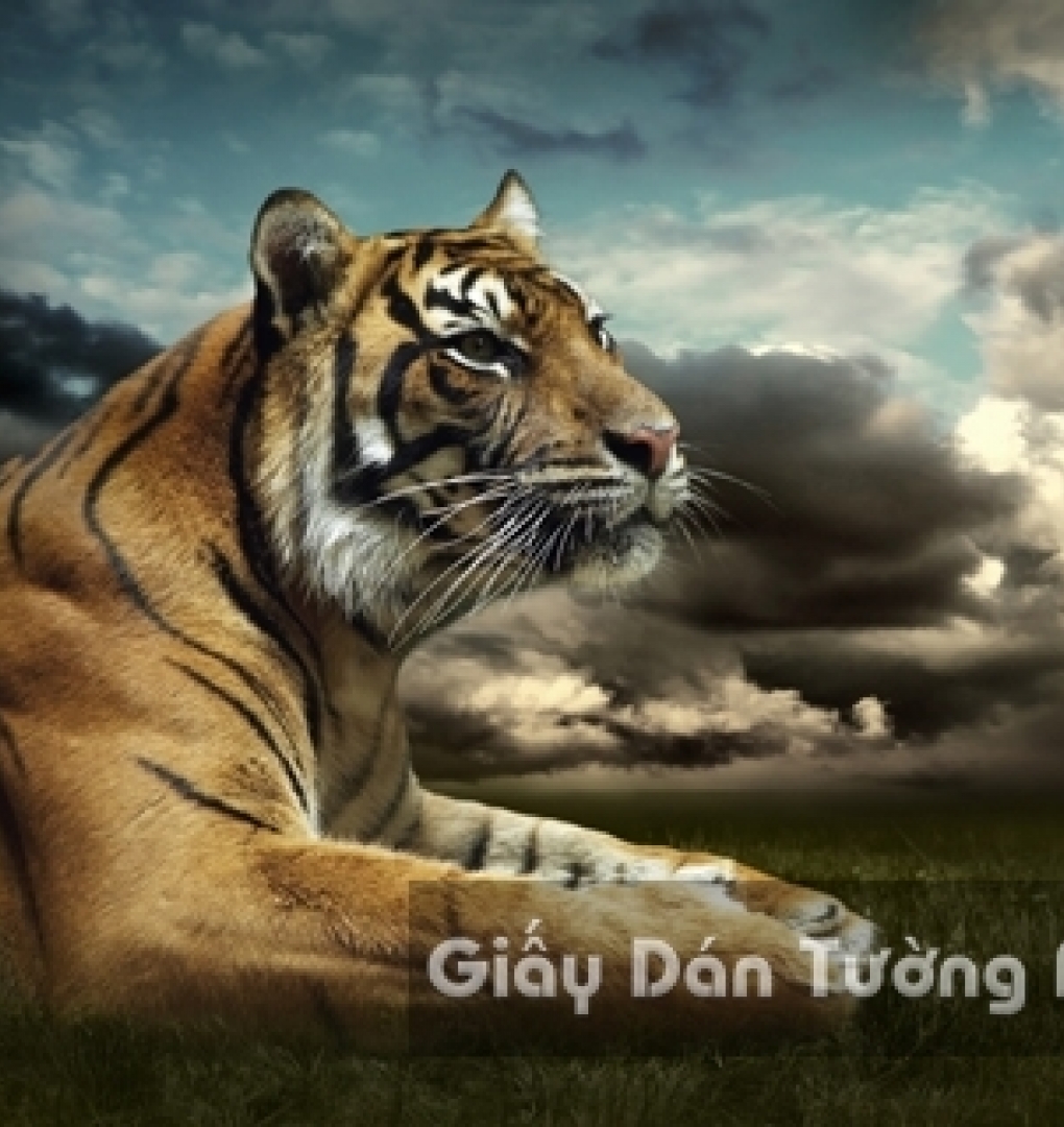 Wallpaper 3D Animal AN 1501-7