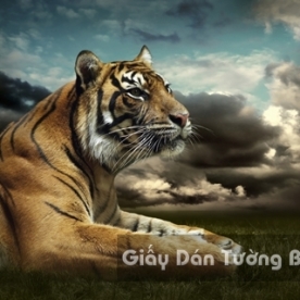 Wallpaper 3D Animal AN 1501-7