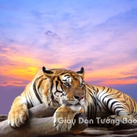 AN 3D Wallpaper Animal AN 1501-8