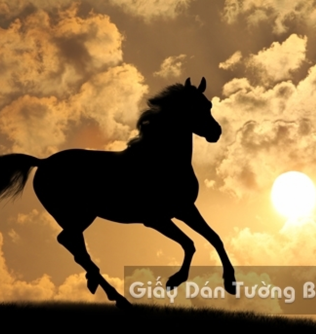 Wallpaper 3D Animal AN 1502-1