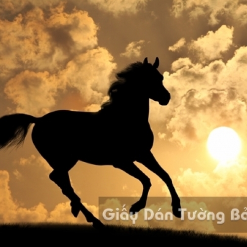 Wallpaper 3D Animal AN 1502-1