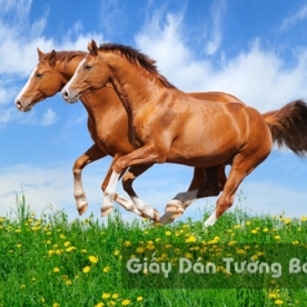 3D Wallpaper Paintings AN AN 1502-11