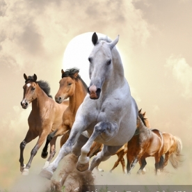 Wallpaper 3D Animal AN 1502-13