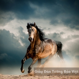 Wallpaper 3D Animal AN 1502-2