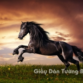 3D Wallpaper Paintings AN AN 1502-3