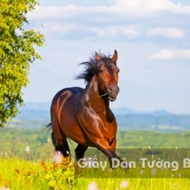 Wallpaper 3D Animal AN 1502-7