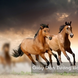 AN 3D Wallpaper Animal AN 1502-9