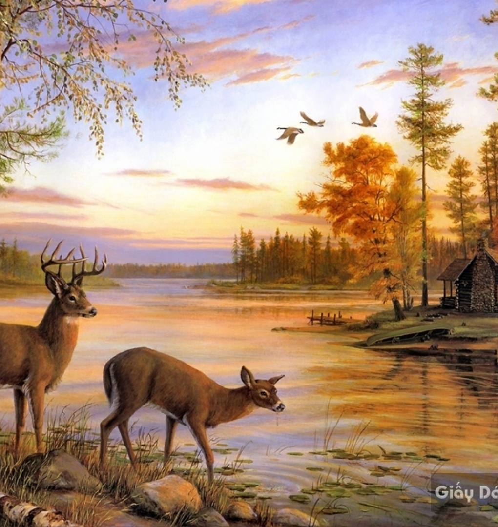 Pa001 wall paintings