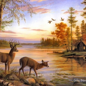 Pa001 wall paintings