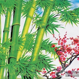 Pa026 wall paintings