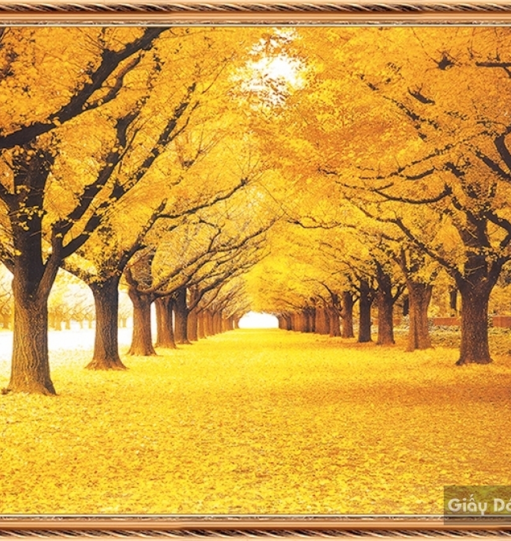 Pa053 wall paintings