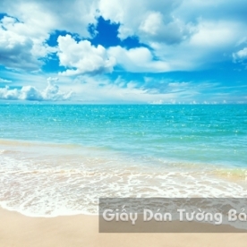 3D Landscape Painting Landscape Beach B002-1