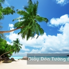 Beach Landscape 3D Paintings BE 1501-4