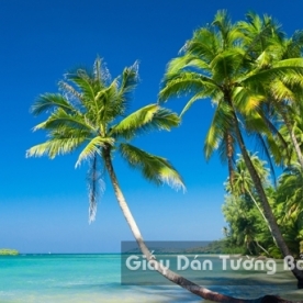 Beach Landscape 3D Paintings BE 1501-5