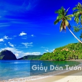 Beach Landscape 3D Paintings BE 1501-9