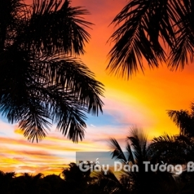 Beach Landscape 3D Paintings BE 1502-1