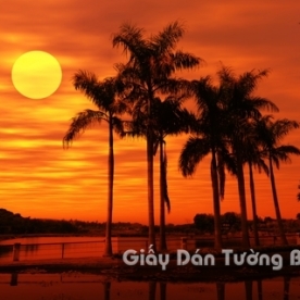 Beach Landscape 3D Paintings BE 1502-3