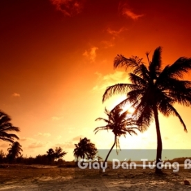 3D Landscape Painting Landscape Beach BE 1502-4