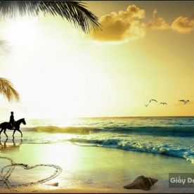 3d beach wall paintings 15385321