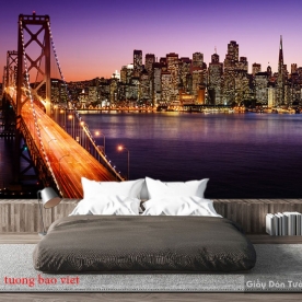 Wall paintings of Fm350 night city