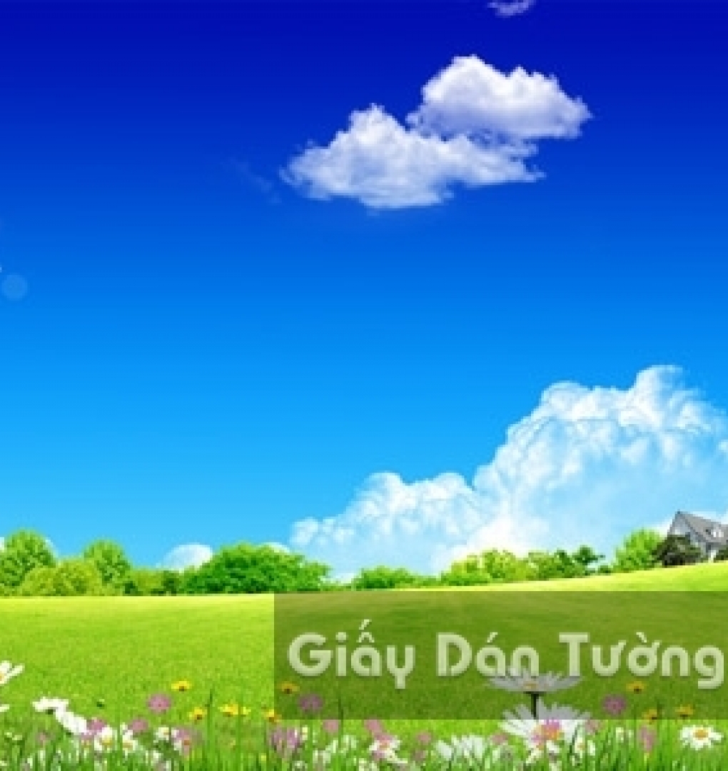Wallpaper 3D Natural Scenery Flower Field CA007-2