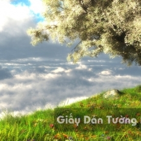 Wallpaper 3D Natural Scenery Flower Field CA007-3