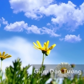 Wallpaper 3D Natural Scenery Flower Field FL001-3