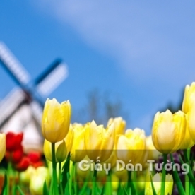 Wallpaper 3D Natural Scenery Flower Field FL003-2