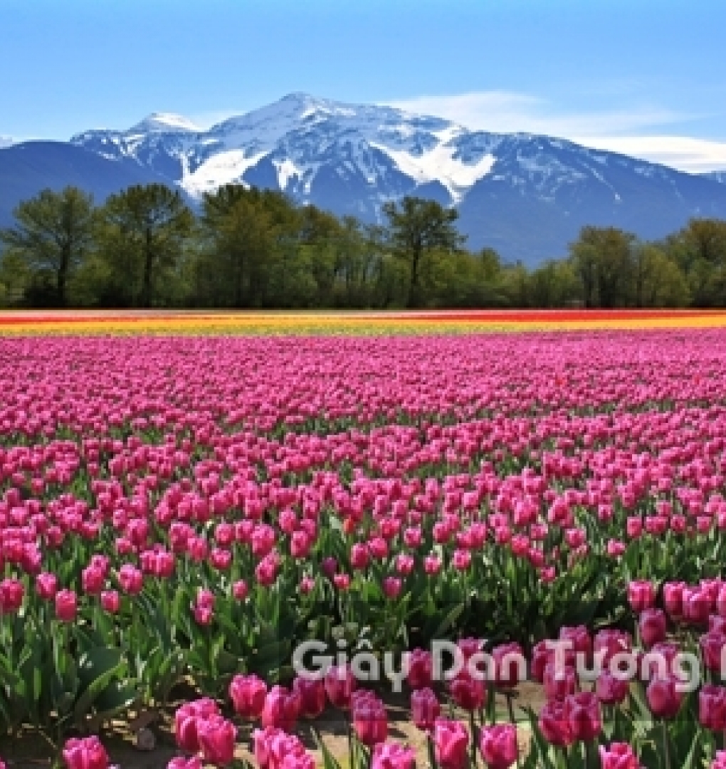 Wallpaper 3D Natural Scenery Flower Field FLLS 1501-10