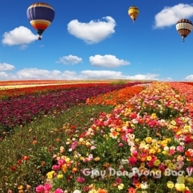 Wallpaper 3D Natural Scenery Flower Field FLLS 1501-13