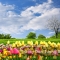 Wallpaper 3D Natural Scenery Flower Field FLLS 1501-19